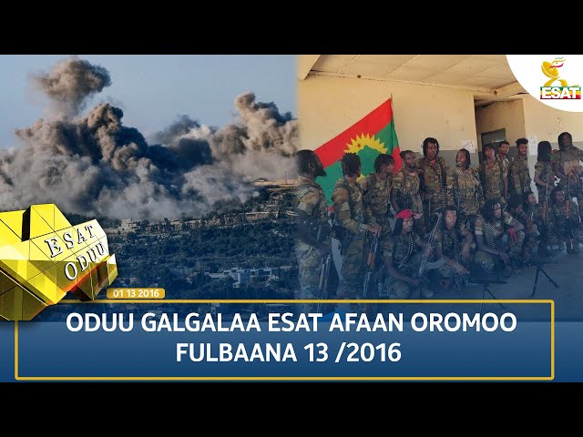 ⁣Ethiopia - ESAT ODUU 23 SEPTEMBER  2024