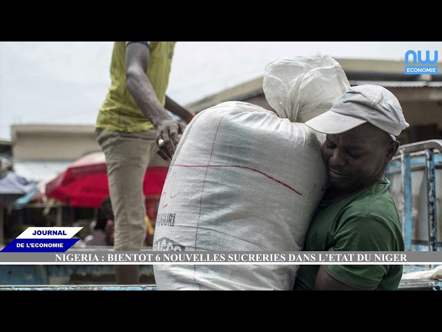 ⁣Journal de l'économie du lundi 23 septembre 2024 sur New World tv