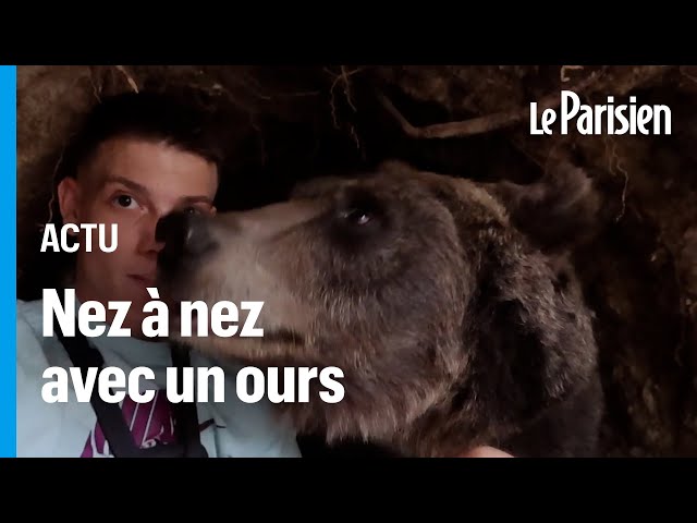 Ce youtubeur serbe a-t-il vraiment été surpris par un ours dans une tanière ?