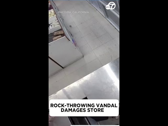 ⁣Rock-throwing suspect damages L.A. store, video shows