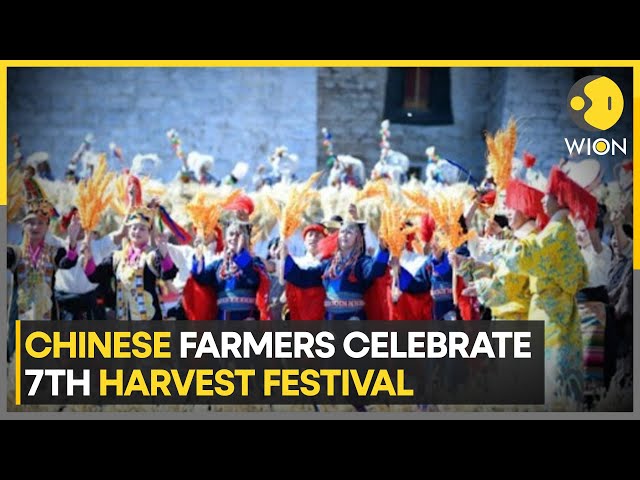 ⁣7th Chinese Farmers' Harvest Festival: Celebrations In Sichuan, Chongqing, Xizang, Inner Mongol