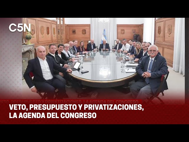 ⁣VETO, PRESUPUESTO y PRIVATIZACIONES, la AGENDA del CONGRESO