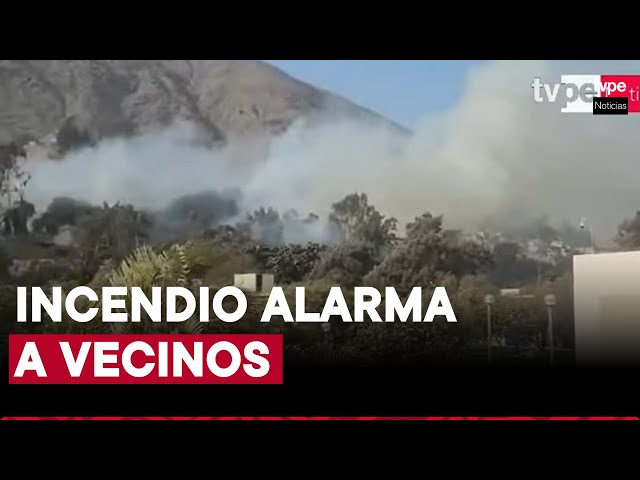 ⁣Chosica: reportan incendio forestal cerca de centro educativo en Alto Huampaní