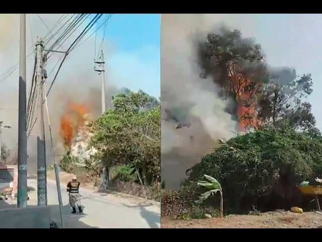 Chosica: Incendio forestal se registra en zona de Alto Huampani