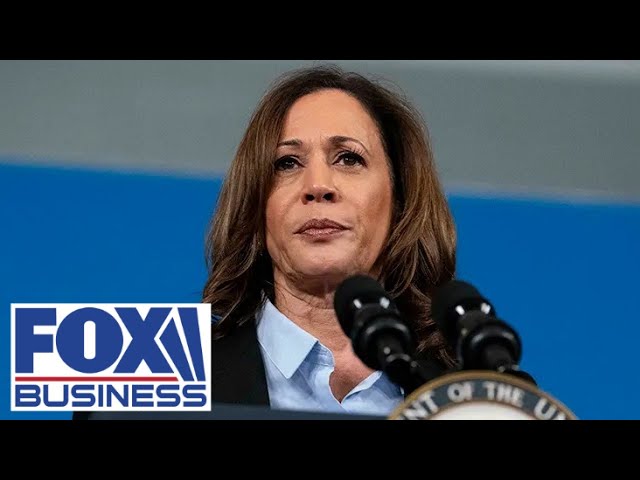 'ALL SUGAR, NO PROTEIN': Harris approach ripped as voters 'hungry for policy'