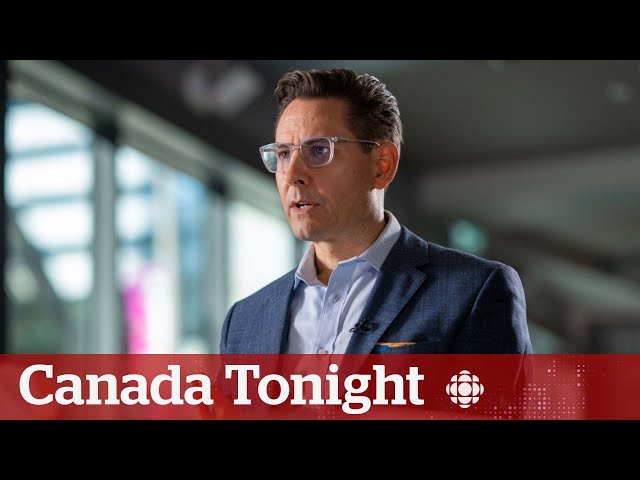 ⁣What could Canada have done better to help Michael Kovrig? | Canada Tonight