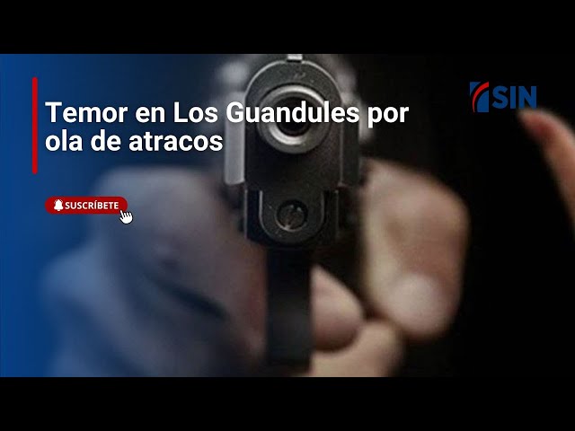 ⁣Temor por ola de atracos en Los Guandules