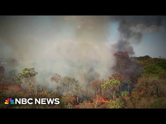 ⁣Record number of fires rage across South America