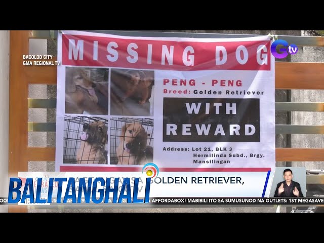 ⁣Pagtangay sa golden retriever, sapul sa CCTV | Balitanghali