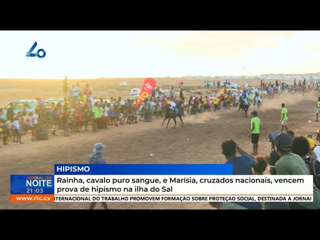 Rainha, cavalo puro sangue, e Marísia, cruzados nacionais, vencem prova de hipismo na ilha do Sal