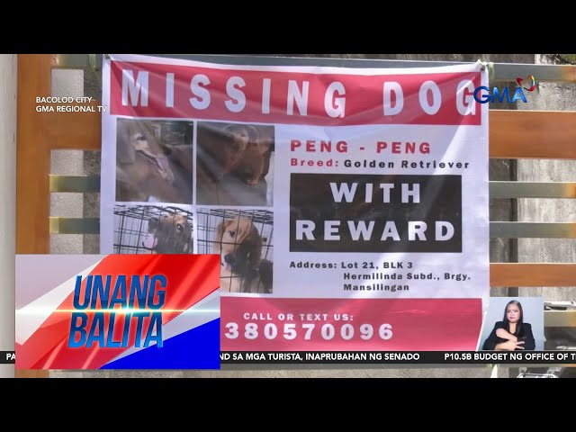 ⁣Pagnanakaw ng isang golden retriever sa Bacolod City, huli-cam | Unang Balita