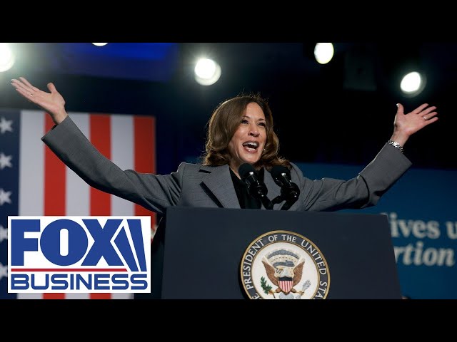 ⁣This is what Kamala Harris’ ‘wealth creation’ really looks like: Economist