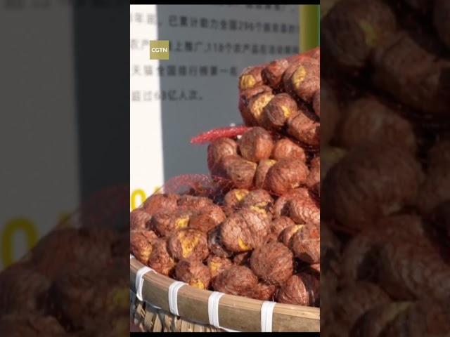 ⁣Chinese Farmers' Harvest Festival brings you a big surprise