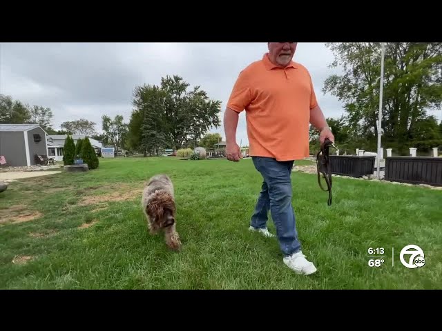 ⁣AKC says Grosse Ile dog is 1st in US to pass rigorous hunting test with no eyes