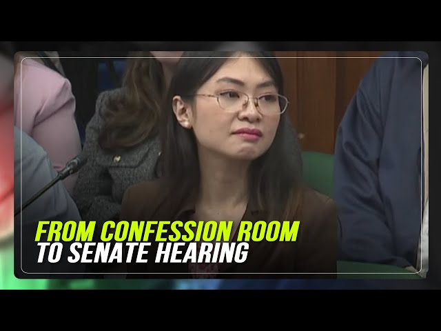 ⁣Here's why the Chinese interpreter at Senate's POGO hearing looks familiar