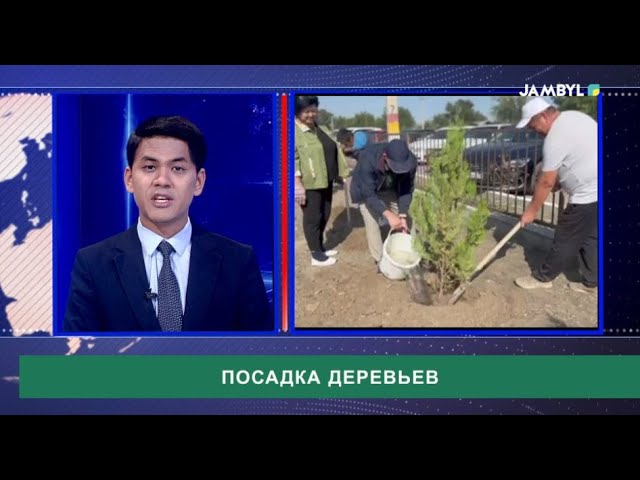 ⁣Посадка деревьев