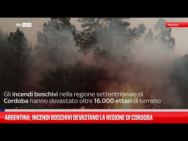 ⁣Argentina, incendi boschivi devastano la regione di Cordoba