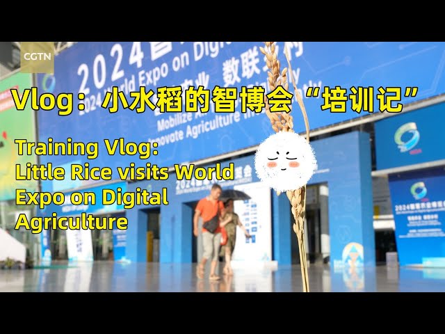 Training vlog: Little Rice visits World Expo on Digital Agriculture