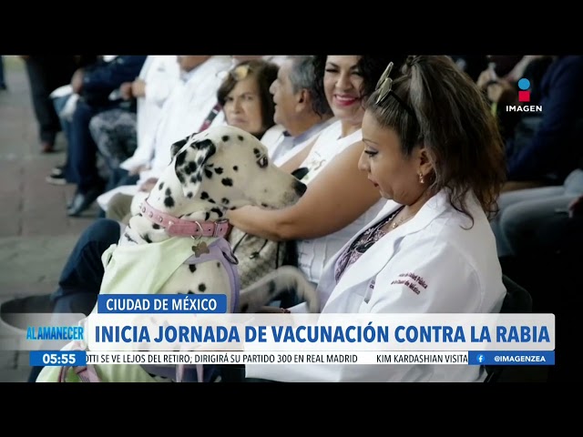 ⁣Inicia la jornada de vacunación contra la rabia para perros y gatos en la CDMX | Francisco Zea