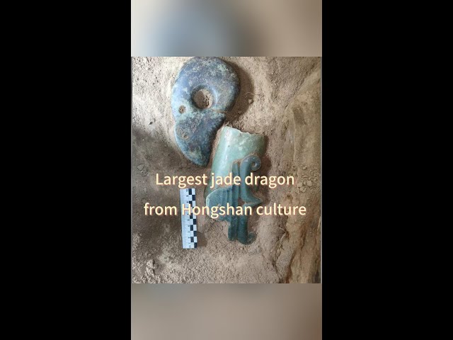 Largest jade dragon from Hongshan culture found in north China