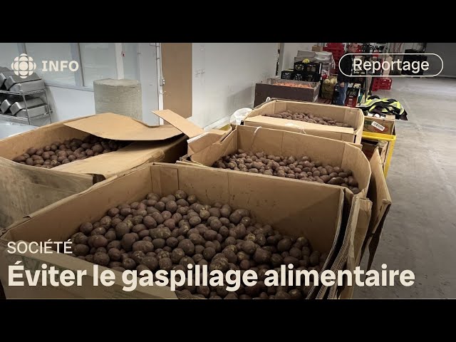 ⁣Créer un centre de transformation pour éviter le gaspillage alimentaire