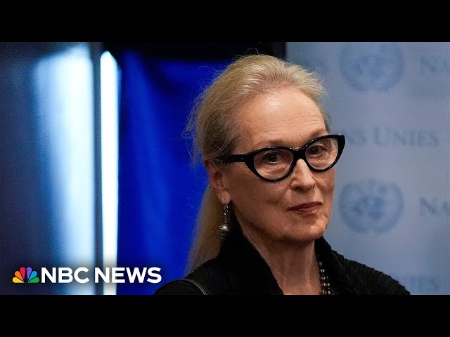 ⁣Meryl Streep tells UN General Assembly 'cats have more freedom in Afghanistan' than women