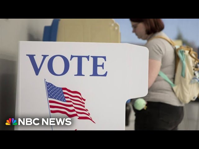 Poll shows half of all 2024 voters plan to cast their ballot early