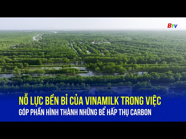 Nỗ lực bền bỉ của Vinamilk trong việc góp phần hình thành những bể hấp thụ carbon