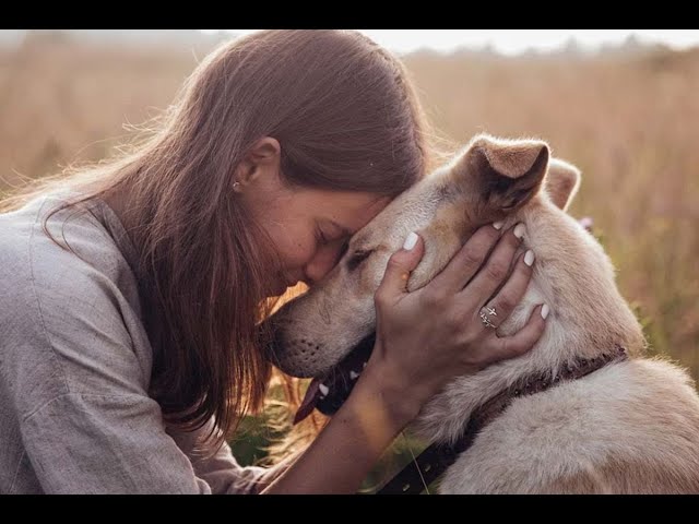 La vida interior de los animales: ¿Las mascotas tienen sentimientos?