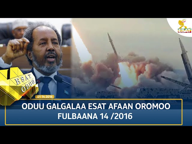 ⁣Ethiopia - ESAT ODUU 24 SEPTEMBER  2024