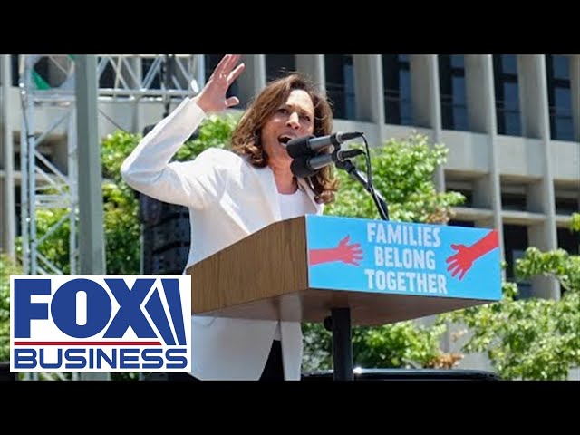 ⁣Harris caught on camera chanting ‘down with deportation’ as senator