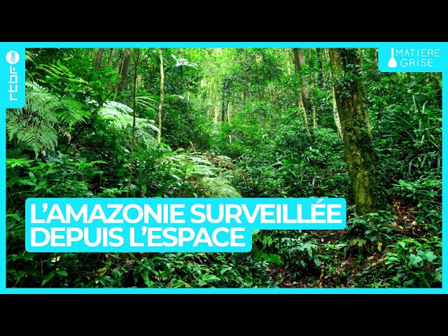 ⁣Amazonie en surveillance depuis l'espace - Matière Grise