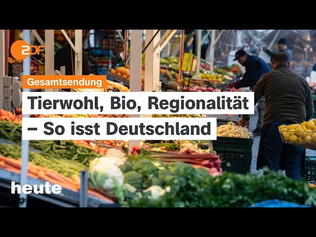 ⁣heute 19:00 Uhr vom 24.09.2024 Eskalation in Nahost, Ernährungsreport 2024, Millionenspende fürs BSW