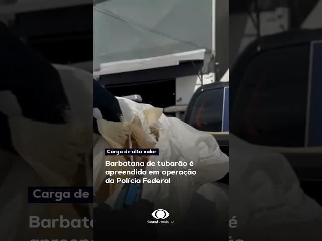 ⁣Uma operação da RF e do Ibama apreendeu uma carga de barbatanas de tubarão no Aeroporto de Fortaleza