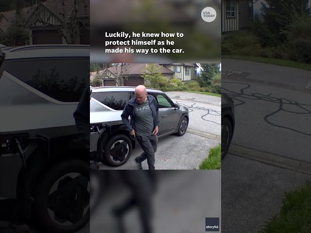 Man stays calm as he comes face-to-face with bear in his garage #Shorts