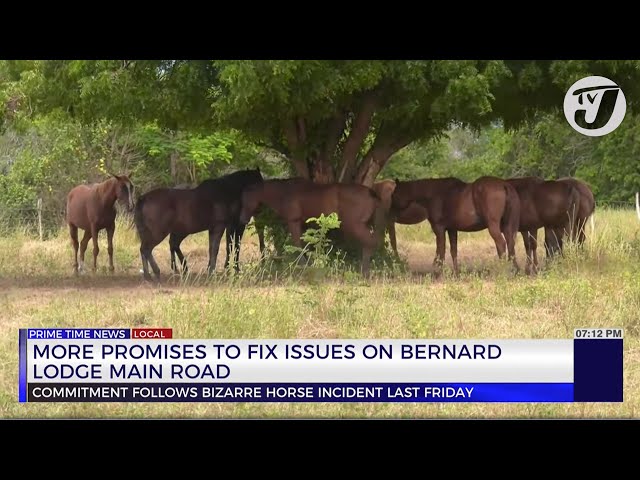 ⁣More Promises to Fix Issues on Bernard Lodge Main Road | TVJ News