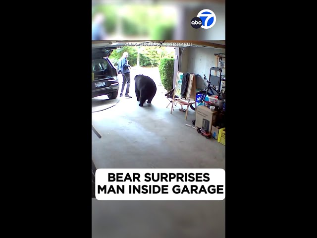 ⁣Man keeps his cool after finding surprising visitor in his garage!