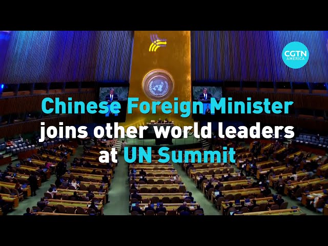 ⁣Chinese Foreign Minister joins world leaders at UN Summit for the Future