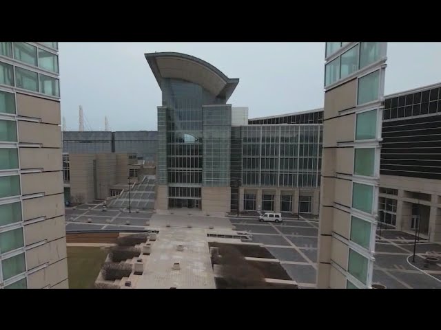 ⁣McCormick Place installs bird-safe film after nearly 1000 birds died last year