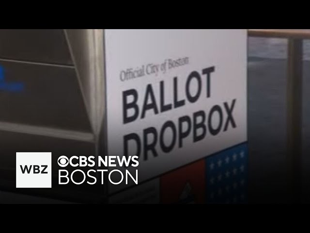 ⁣Where do Massachusetts voters stand on ballot questions? A new poll looks at MCAS, magic mushrooms a