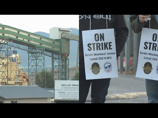 ⁣Metro Vancouver grain workers begin strike