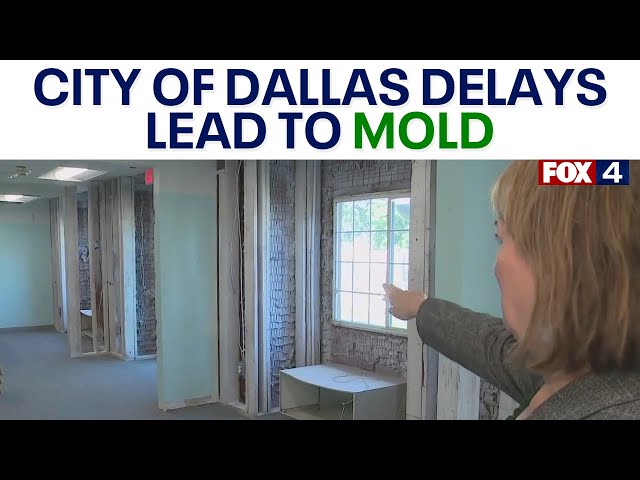 Dallas city leaders apologize to Family Gateway CEO after roof repair delays lead to mold damage