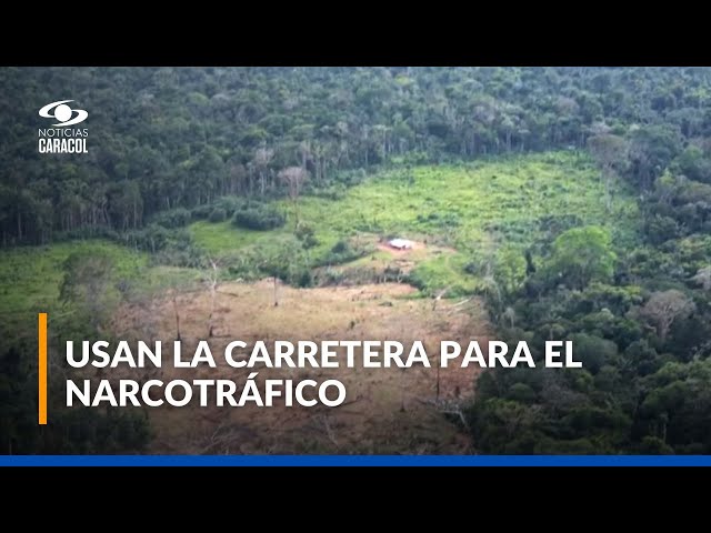 ⁣Disidencias arrasan con la selva del parque Chiribiquete y construyen una vía en la reserva