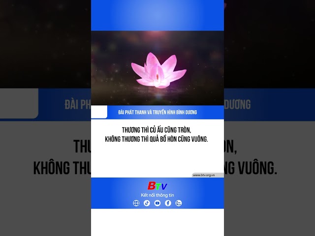 ⁣Thương thì củ ấu cũng tròn, không thương thì quả bồ hòn cũng vuông