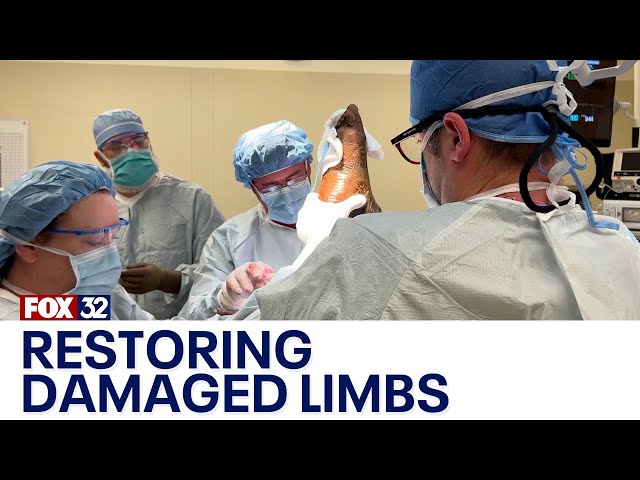 Illinois hospital using regenerative medicine to restore damaged limbs