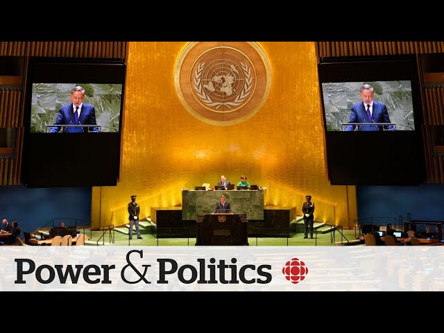 Is the UN’s legitimacy at risk? | Power & Politics