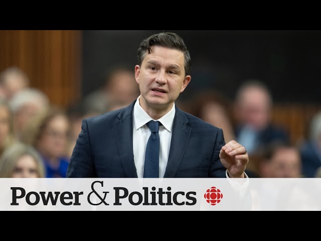 ⁣Conservatives introduce motion to try to topple Liberal government | Power & Politics