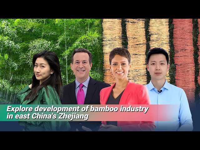 ⁣Live: Explore development of bamboo industry in east China's Zhejiang