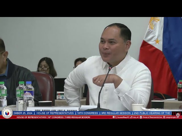 What type of information was purchased?” Rep. David Suarez asked Atty. Camora