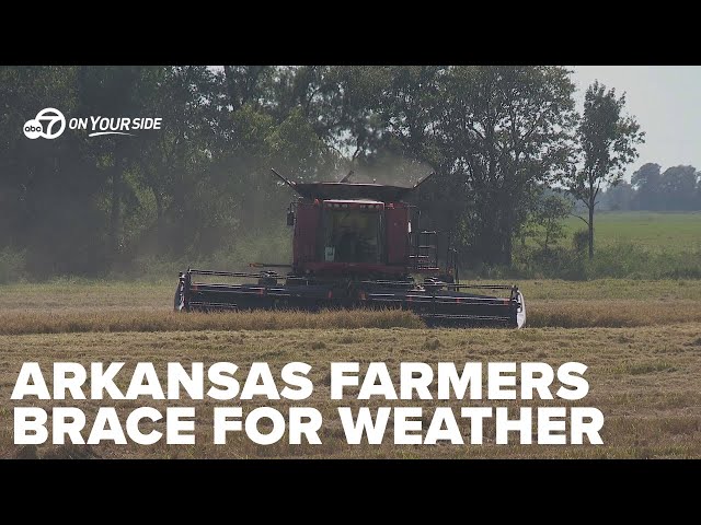 ⁣Arkansas farmers brace for weather from Hurricane Helene